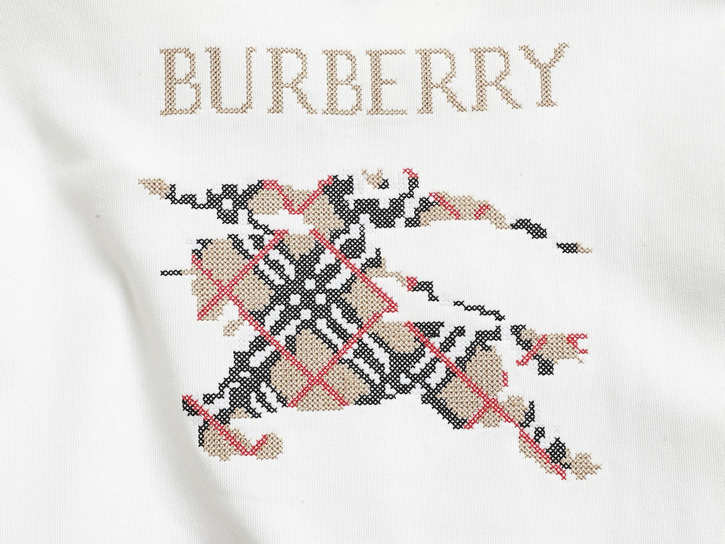 Burberry Hoodie